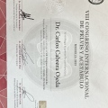 Ampliar imagen: certificate 2