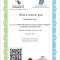 Ampliar imagen: certificate 6