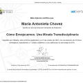 Ampliar imagen: certificate 9