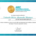 Ampliar imagen: certificate 4