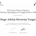 Ampliar imagen: certificate 5