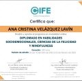Ampliar imagen: certificate 9