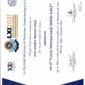 Ampliar imagen: certificate 17