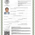 Ampliar imagen: certificate 4