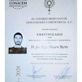 Ampliar imagen: certificate 1