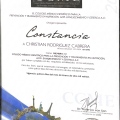 Ampliar imagen: certificate 10