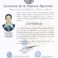 Ampliar imagen: certificate 2
