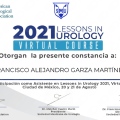 Ampliar imagen: certificate 11
