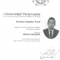 Ampliar imagen: certificate 4