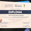Ampliar imagen: certificate 8