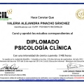 Ampliar imagen: certificate 6