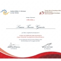 Ampliar imagen: certificate 4