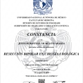 Ampliar imagen: certificate 4