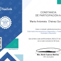 Ampliar imagen: certificate 10