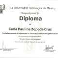 Ampliar imagen: certificate 6