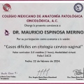 Ampliar imagen: certificate 3
