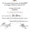 Ampliar imagen: certificate 5