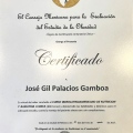 Ampliar imagen: certificate 12