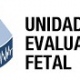 Unidad de Evaluación Fetal - Polanco