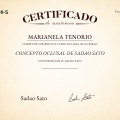 Ampliar imagen: certificate 5