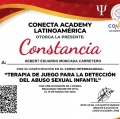 Ampliar imagen: certificate 2