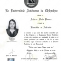 Ampliar imagen: certificate 3