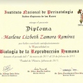 Ampliar imagen: certificate 10