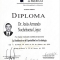 Ampliar imagen: certificate 3