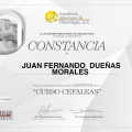 Ampliar imagen: certificate 7