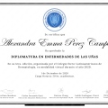 Ampliar imagen: certificate 5