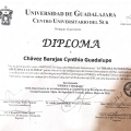 Ampliar imagen: certificate 4