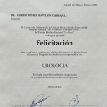Ampliar imagen: certificate 3