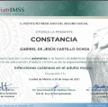 Ampliar imagen: certificate 14