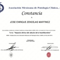 Ampliar imagen: certificate 41