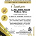 Ampliar imagen: certificate 5