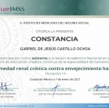 Ampliar imagen: certificate 26