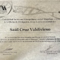 Ampliar imagen: certificate 13