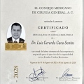 Ampliar imagen: certificate 2