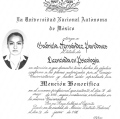 Ampliar imagen: certificate 3