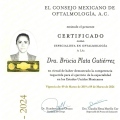 Ampliar imagen: certificate 5