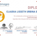 Ampliar imagen: certificate 2