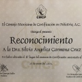 Ampliar imagen: certificate 5