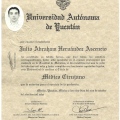 Ampliar imagen: certificate 3