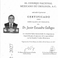 Ampliar imagen: certificate 1