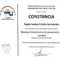 Ampliar imagen: certificate 18