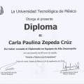 Ampliar imagen: certificate 7