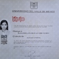 Ampliar imagen: certificate 3