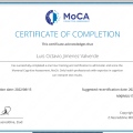 Ampliar imagen: certificate 11