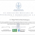 Ampliar imagen: certificate 13