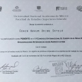 Ampliar imagen: certificate 11